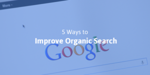 ways to improve organic search